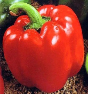 ����� �������: �������� ����� ��� ������ � �������� �������