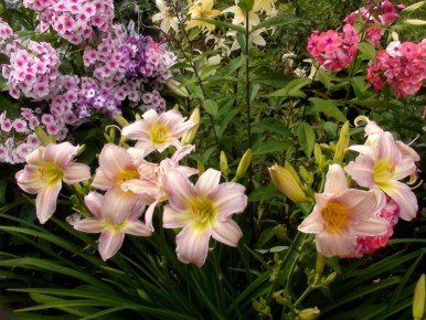 ��� ������� ������, ������� ������ ���� �����: ������� � ������