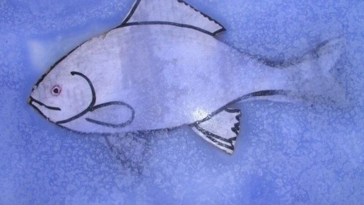 ����������� ����������� ����: � ���� ���������� �� ����� ���?