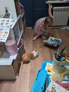 ������������������ ��������