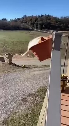 ������ ����)