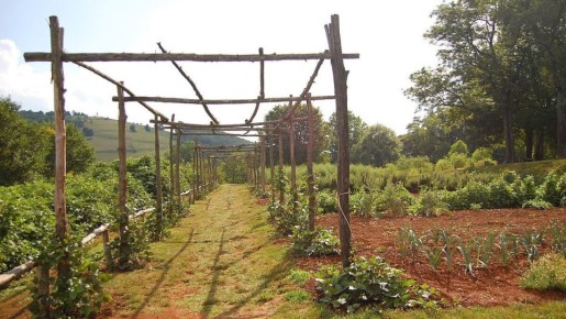 ���� � ����� �������: ����������� ������������ � ���������������