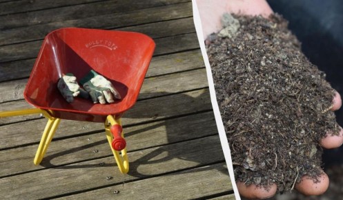 �� ������ ������� ������ �������!