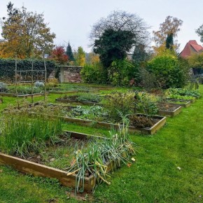 ���������� ������ �������� � ������ � �������: ��� �������� ������