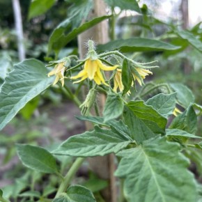 ������ ����� ����� ����� ����� ������ �������� ��� ������� ��������� � �����?