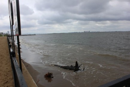 ����� �������������. ����� ������� ����� � ����� ��������, ������ ���� ���������