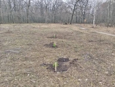 � �������� ������� �������� ����