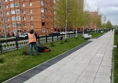 ������ �� ��������������� ������������