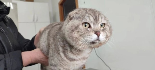 ������������ ���������� ������� ���� � ����� �� ����� ��������