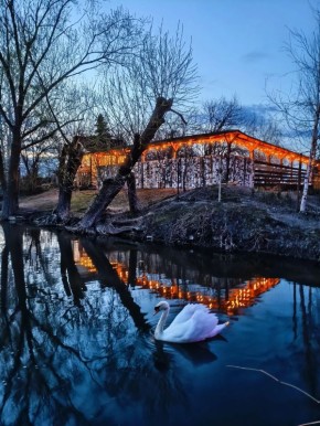 ������ �� �������� ������� ������������ � ��������