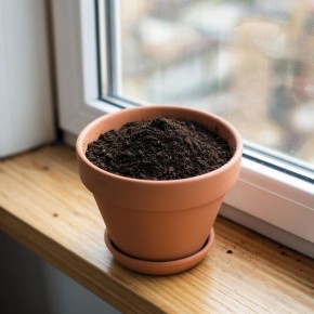 ��� �������� ����� ����� � ������ ����� ����� ��������� ��������