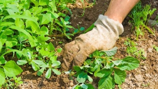 �������� �������: ����� ���� �� ��������� ������� ����� � ��� � ���� ��������