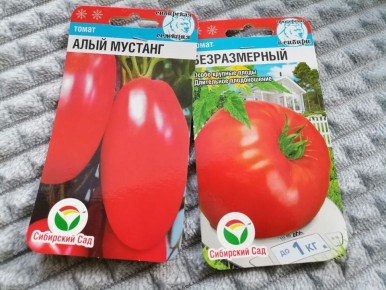 ������ ���� ������ �� ��������� ������: ����������� � �������� � ������ �������