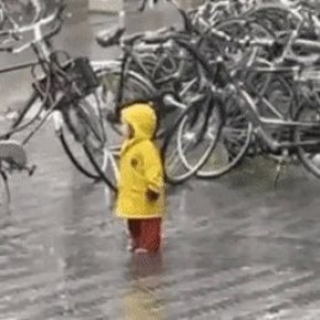 �����, ������ ���� � �����: ��� ������� ���������� �� ���� ������