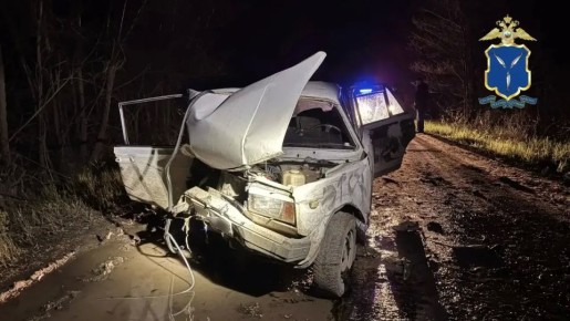 � ������������� ������ ������������ ��������������� �������������� �������-������������� ������������ � ������ ������������� �������� ��������