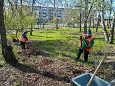 ������� ������ � ����������� ����, ����� ���������� �����, ���� ������