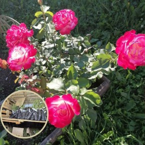 �������, ������� ����������� ���� ����