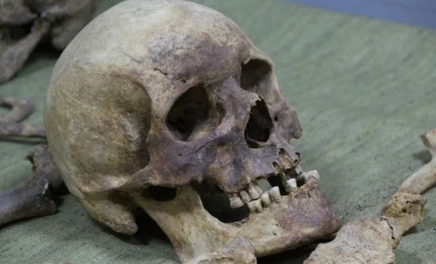 � �������� �������� ����� ����� ������������ ����� � ��� ������ �� ������