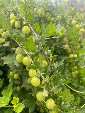 ��� �������� ������ ��� ������� ����������: ��� �� �� �������