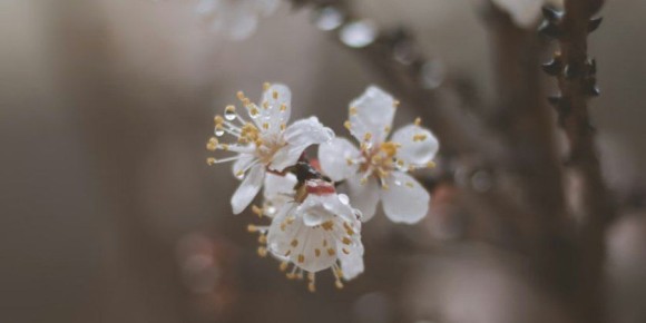 ��������� ���� ������ ��������� �������� � ���������� �������