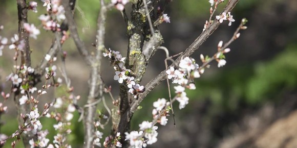 ������� �������� � ���������� ������� � �������, ������ � ����������� �� +17