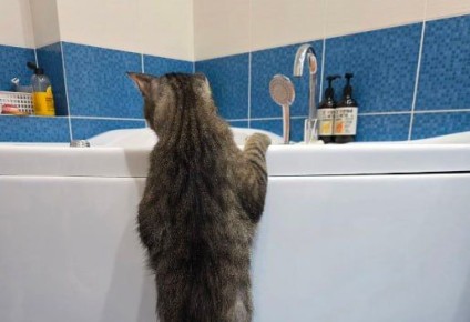 ���������� � ���: ���� � ������ ���������� ������� ���� � ��������