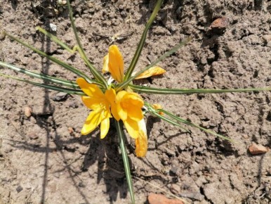 ��� ������� ������ ��� ���� �� ������ �������