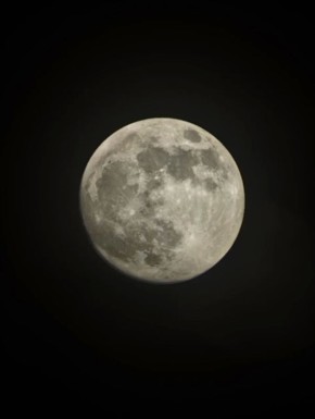 "���������" � "�������" ���� ������ ������� ��������� � ���