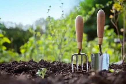 ������ � ���������: �������� ���� � �������� ����� �� �� ������������� � �����������