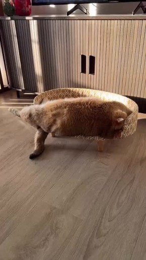 �����-�� ����� ���������!. ������� ����
