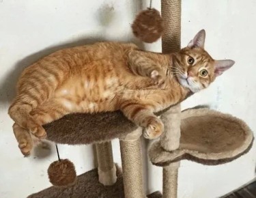 ��� �� ������: ����������� ����� � �����