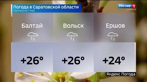 ������� ������ �� 7 ���