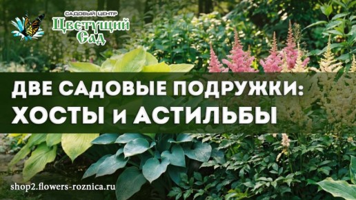 ������� �������, ������� ������� ����������: ����� � ��������