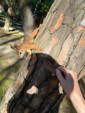 � �������� ����� ������ ����� � ��������, ��� ������� ��-�� ������
