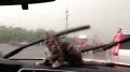 �� ���� ������ ���������� ���� ����� � ����