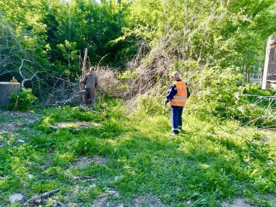 Сотрудники МКУ «Городское хозяйство» в круглосуточном режиме проводят работы по вывозу порубочных остатков Сотрудники МКУ «Городское хозяйство» в круглосуточном режиме проводят работы по вывозу порубочных остатков