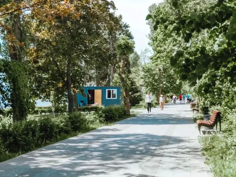 Саратовских студентов привлекут к благоустройству Набережной Космонавтов