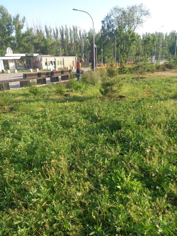 Нанесение разметки, покос, уборка городских улиц Нанесение разметки, покос, уборка городских улиц