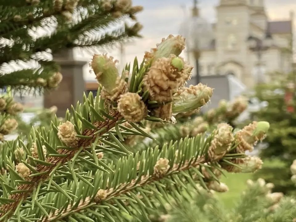 Саратов в кадре Саратов в кадре