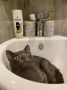 Как избежать начислений за воду в период отключений