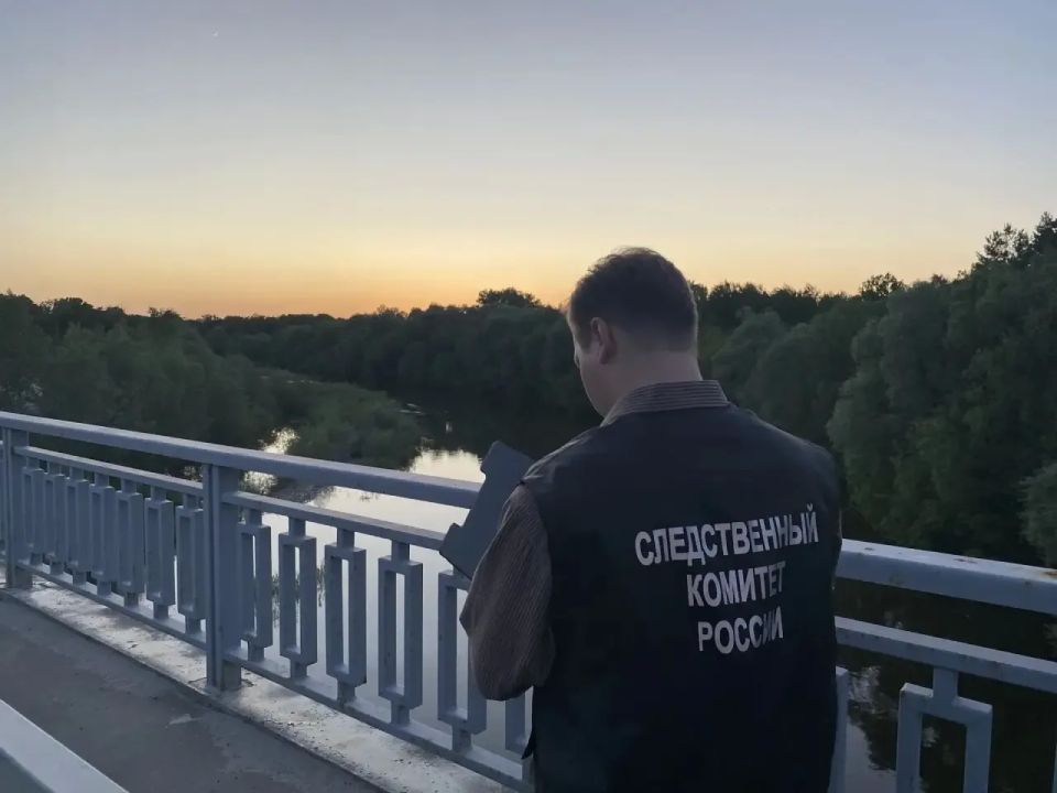 В Саратовской области организована процессуальная проверка по факту гибели несовершеннолетнего
