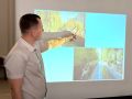 Приняты решения в части улучшения организации дорожного движения