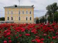 Саратов в кадре