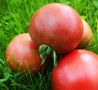 Томат Мечта Хейзи: выращивание и секреты его уникального вкуса