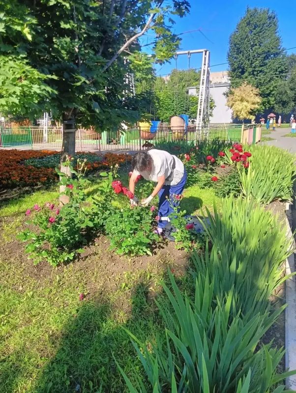 Коммунальные службы наводят порядок на улицах города Балаково ежедневно Коммунальные службы наводят порядок на улицах города Балаково ежедневно