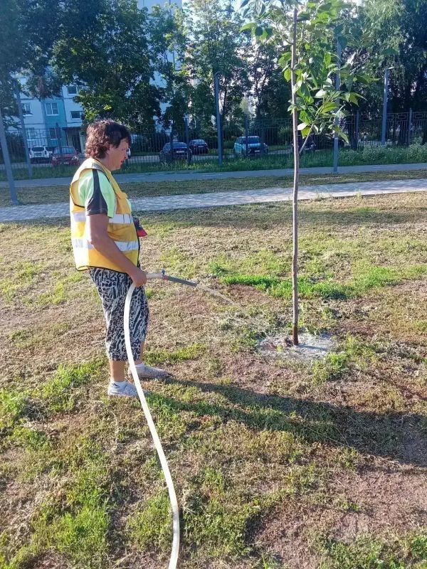 Коммунальные службы наводят порядок на улицах города Балаково ежедневно Коммунальные службы наводят порядок на улицах города Балаково ежедневно