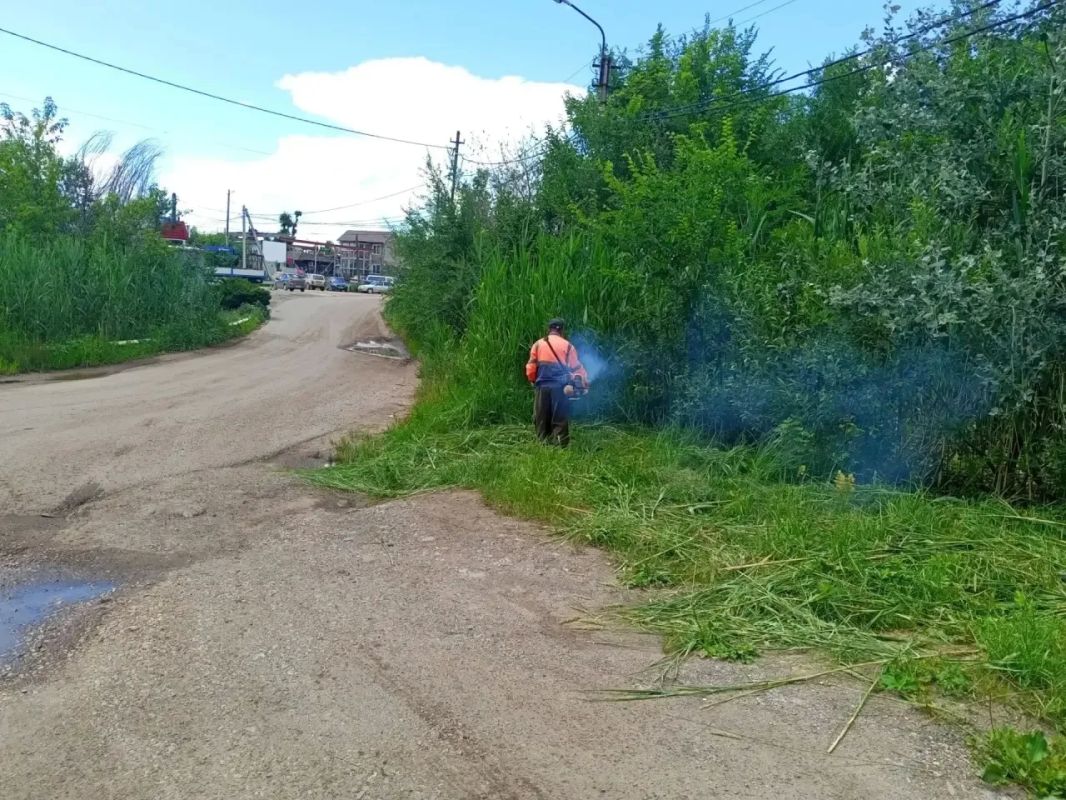 Покос камыша и сорной растительности Сотрудники МКУ «Городское хозяйство» ежедневно проводят работы по покосу камыша, используя как ручной, так и механизированный способы Покос камыша и сорной растительности Сотрудники МКУ «Городское хозяйство» ежедневно проводят работы по покосу камыша, используя как ручной, так и механизированный способы
