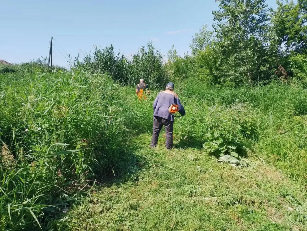 Покос камыша и сорной растительности Сотрудники МКУ «Городское хозяйство» ежедневно проводят работы по покосу камыша, используя как ручной, так и механизированный способы Покос камыша и сорной растительности Сотрудники МКУ «Городское хозяйство» ежедневно проводят работы по покосу камыша, используя как ручной, так и механизированный способы