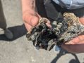 Вольский сговор как система дорожного ремонта