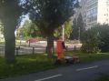 Уборка города. Коммунальные службы осуществляют уборку дорог и тротуаров, мойку и ремонт остановочных павильонов, уход за зелеными зонами, подбор мусора, а также ремонт дорожных знаков и ограждений